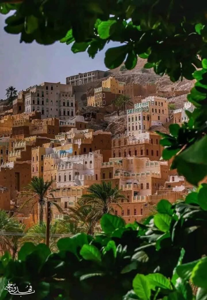 اليمن بين خفايا التفاوض والتحالفات الدولية:  قراءة في السيناريوهات الممكنة
